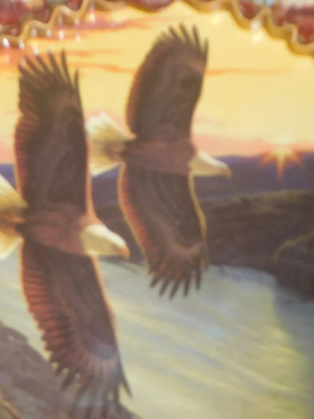 Soaring Spirits Shield Collection  / Majestic Sunrise